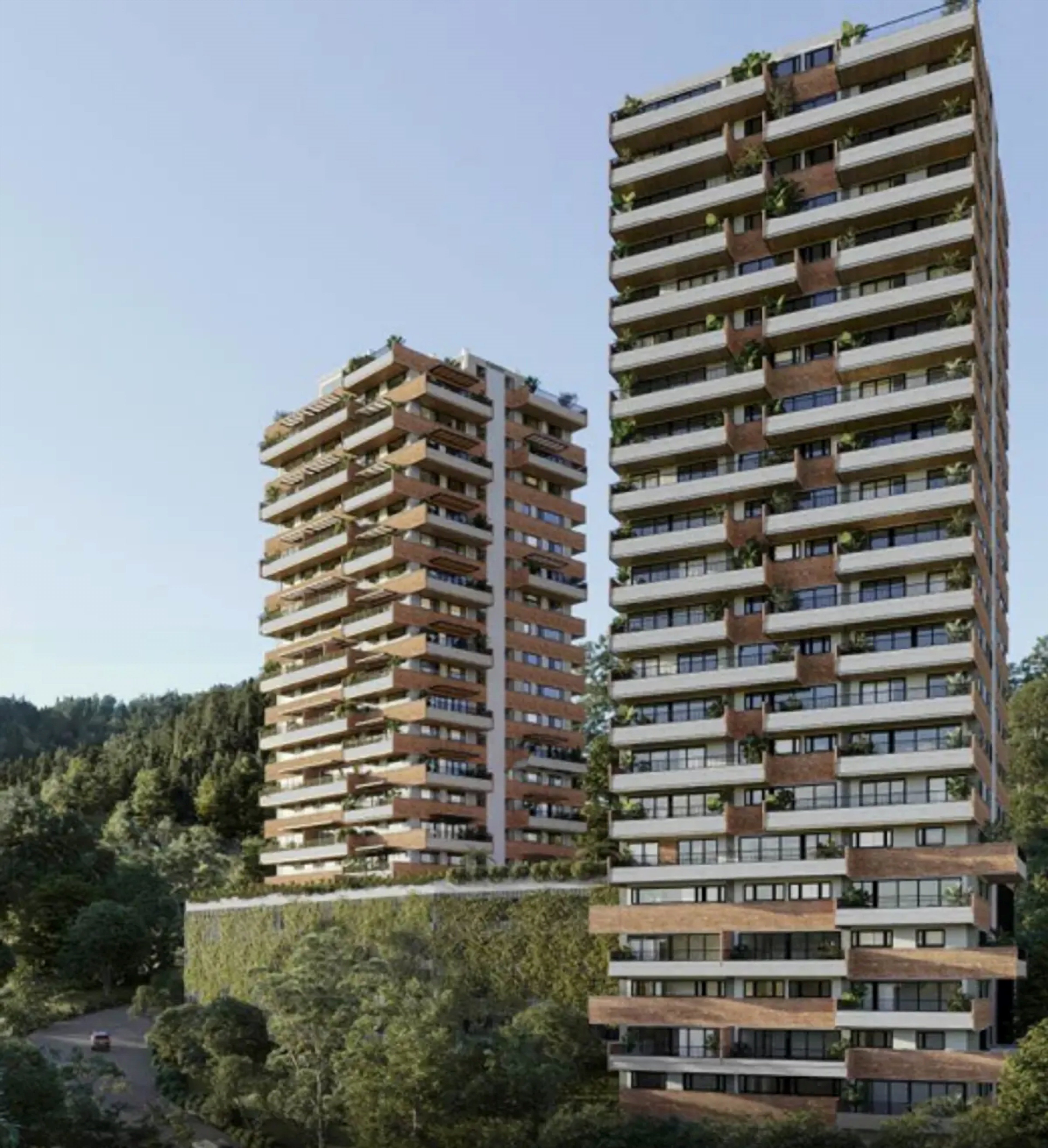 Contree Las Palmas